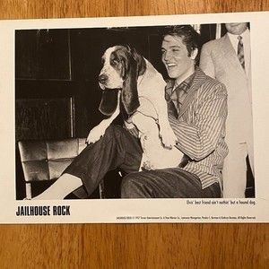 Jailhouse Rock Elvis' best friend ain't nothin' but a hound dog
